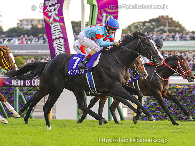 第166回 天皇賞（秋） 回顧 | 競馬 研究ニュース