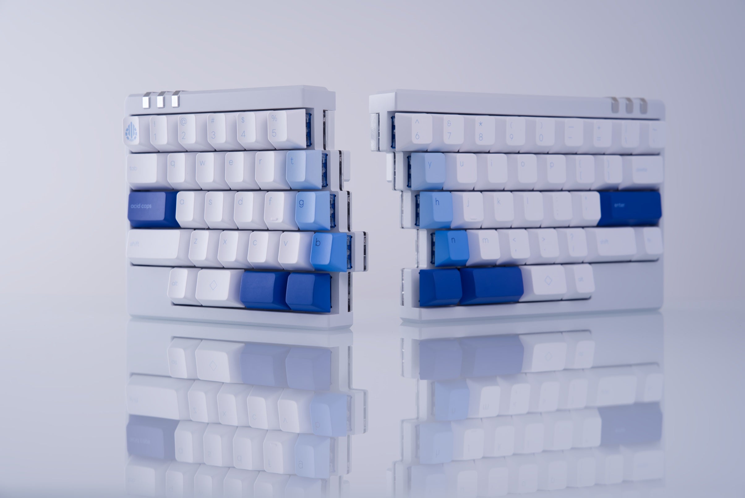 DSC9613.jpg?v=1722529292&width