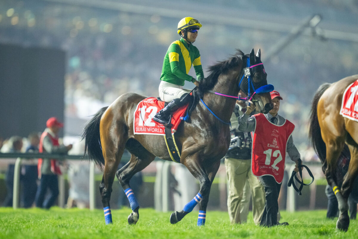 ドバイワールドカップ】原優介「馬は頑張ってくれました」ウィルソン