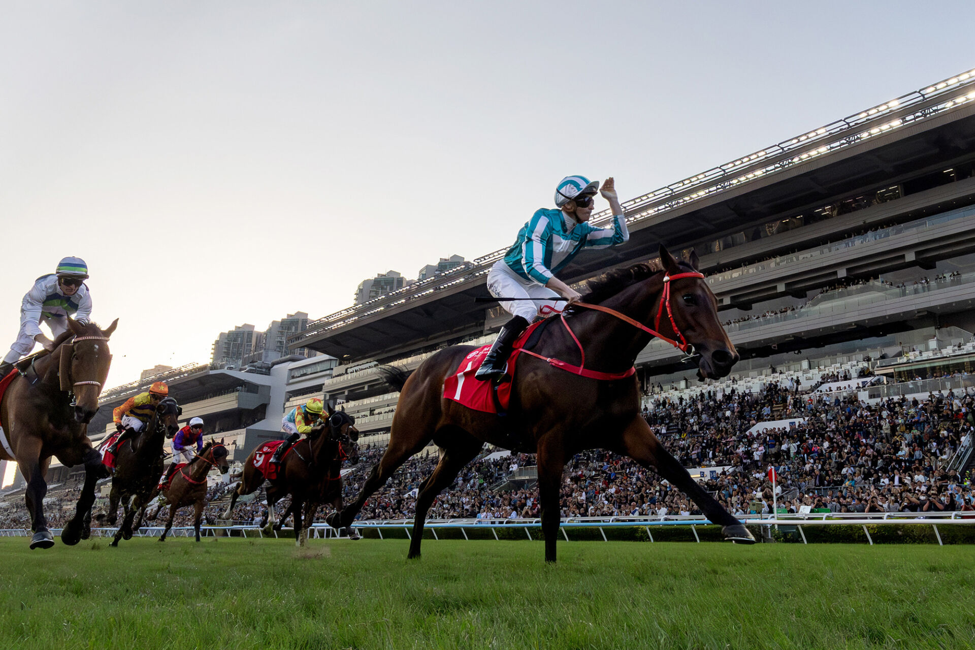 香港競馬】ロマンチックウォリアーが復活V！ヴォイッジバブルとの