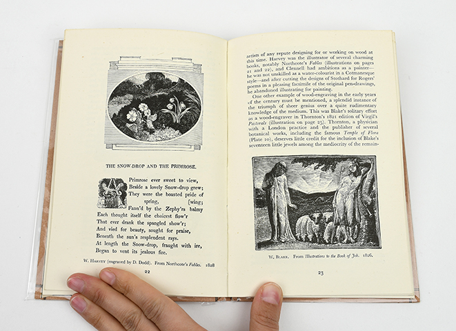 ENGLISH BOOK ILLUSTRATION｜恵文社一乗寺店 オンラインショップ