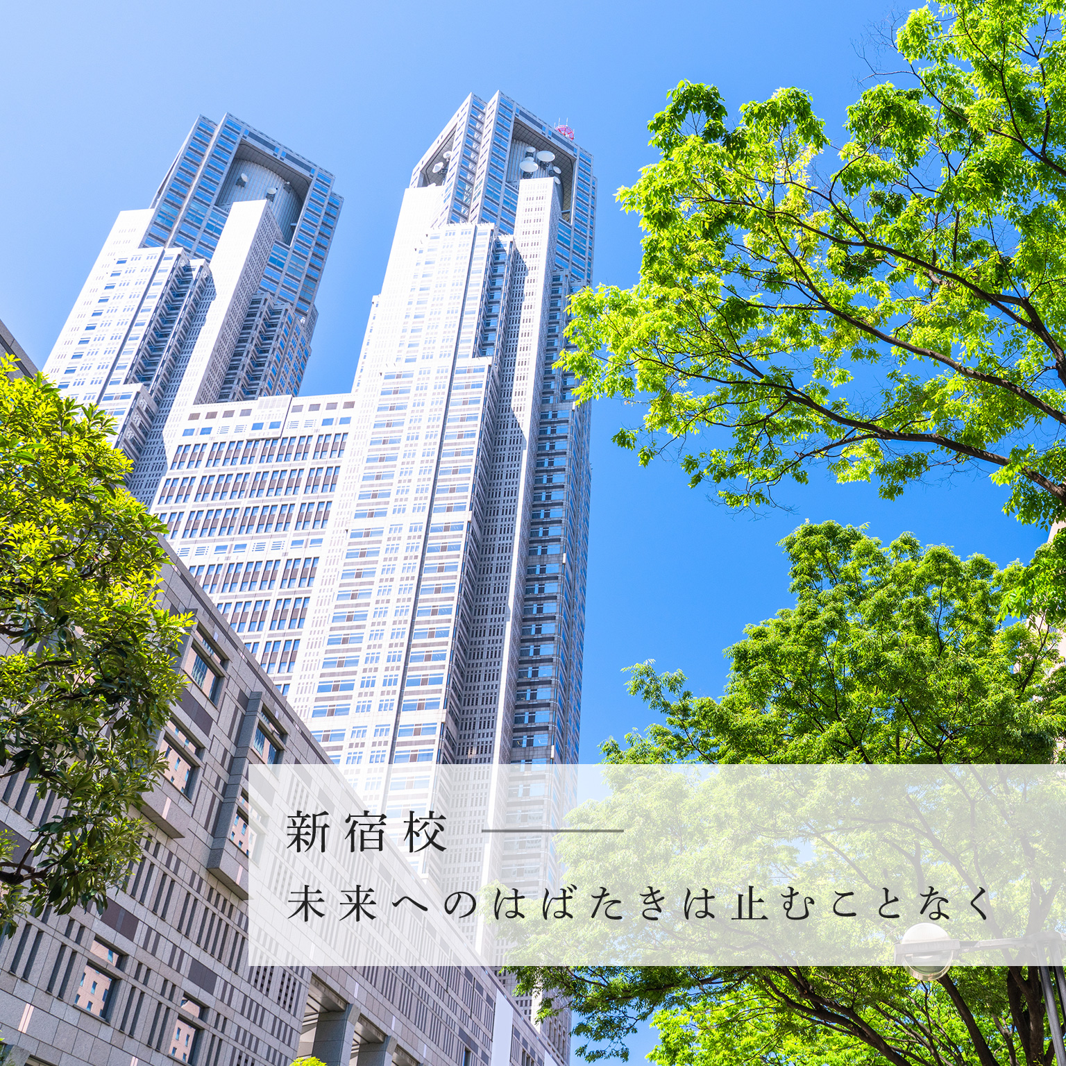 啓明館（けいめいかん）東京｜難関中学受験名門