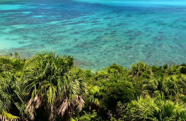 慶良間ブルー専用 世界を魅了するケラマブルーとは？慶良間諸島の魅力