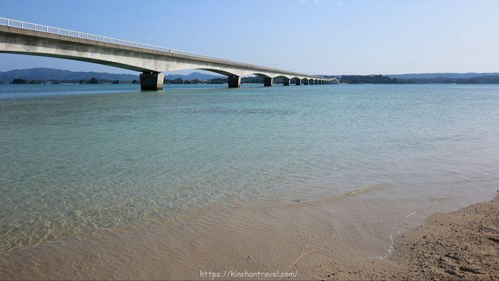 t20250725_1.jpg?v=1753492341