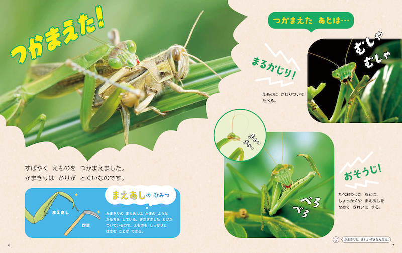 しぜん-キンダーブック - フレーベル館の月刊保育絵本