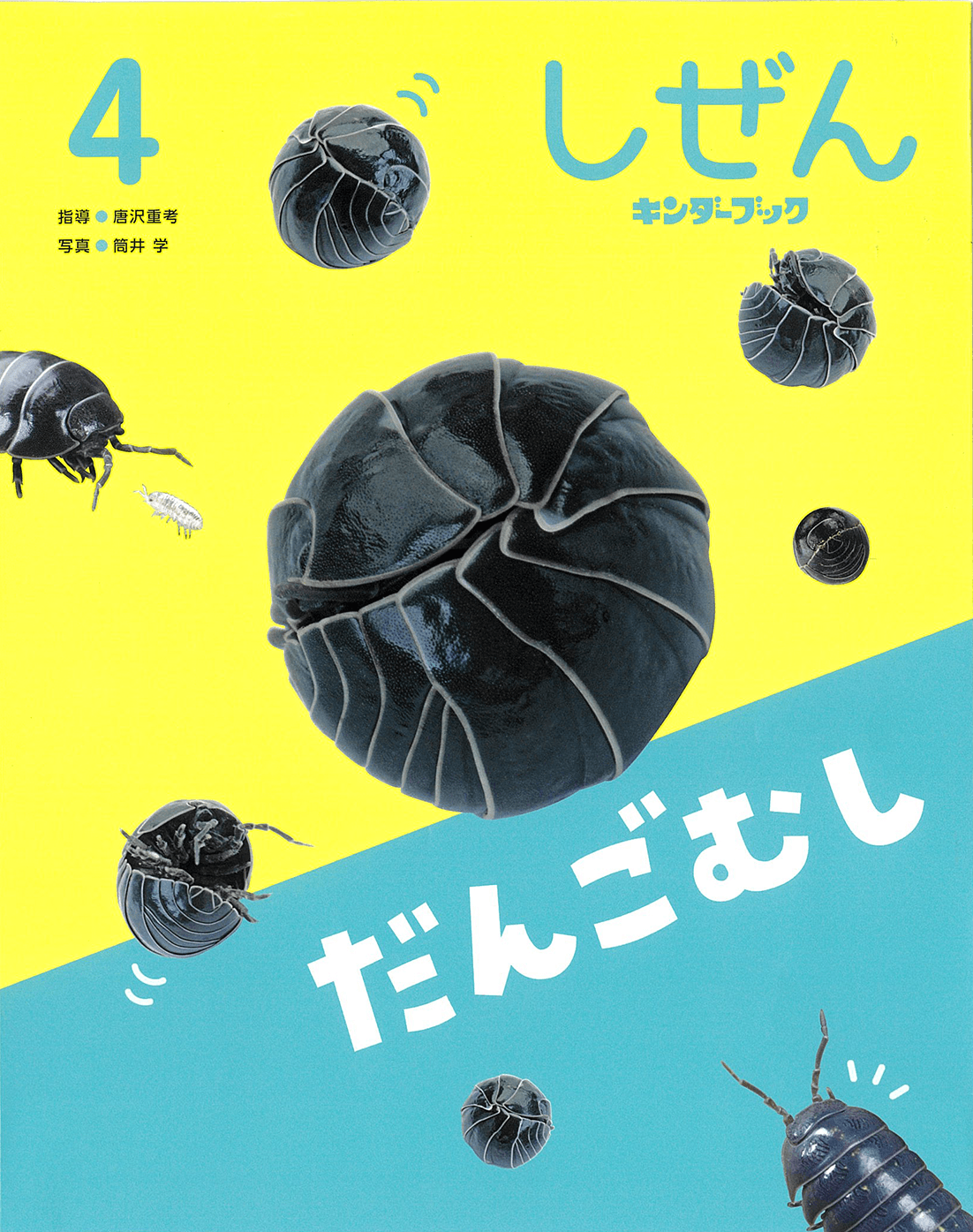 しぜん-キンダーブック - フレーベル館の月刊保育絵本