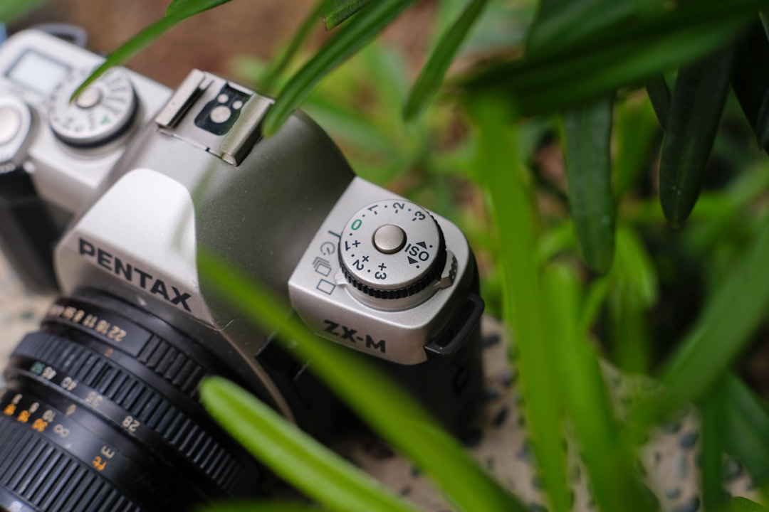 Pentax ZX-M film SLR – King