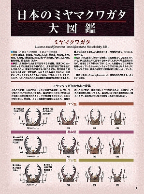 ビークワ47号（BE・KUWA） 日本のミヤマクワガタ大特集