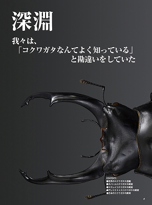 ビークワ54号（BE・KUWA） 世界のコクワガタ大特集!!