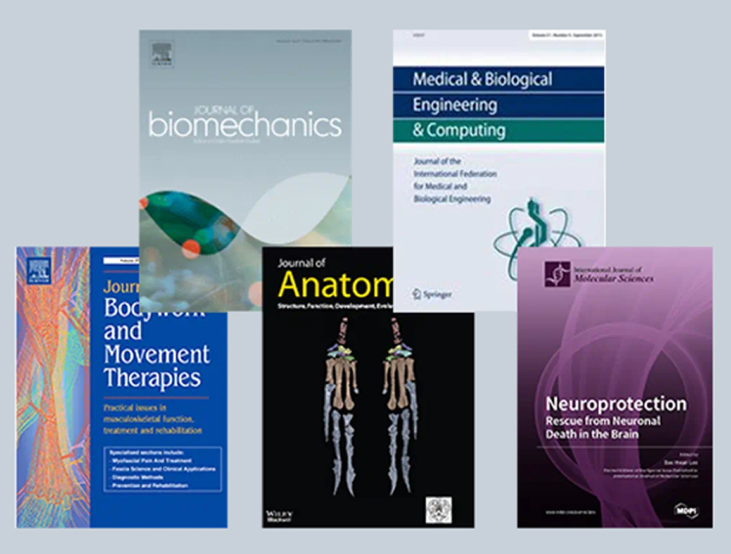 筋膜マニピュレーションとは｜理学療法士による筋膜整体 Next整体KINMAQ