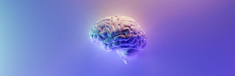 2024年度対策】脳卒中専門医試験の対策まとめ - 脳外科医ママ