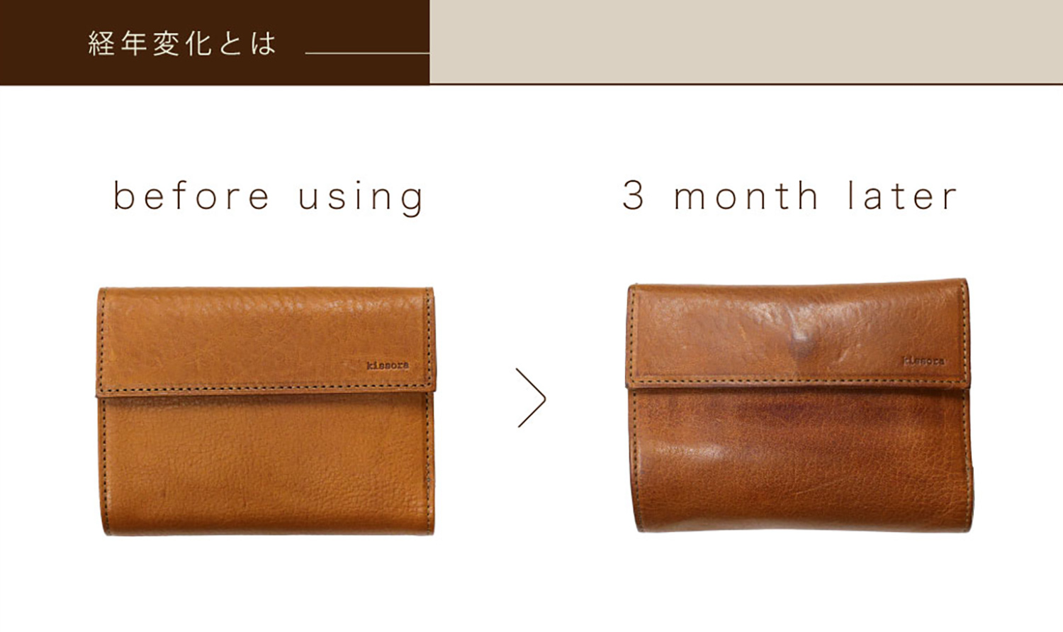 革を育てる：ディニタシリーズ KIMS-003 | kissora.jp