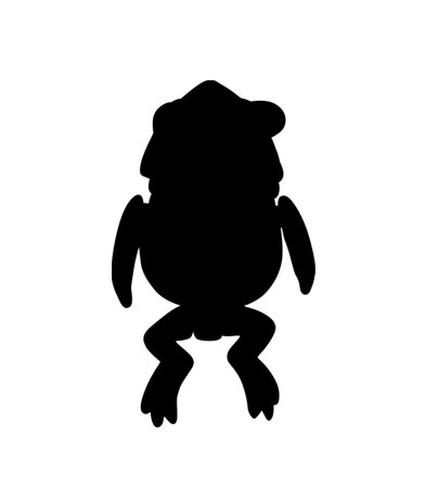 PUTITTO ピカチュウ＆イーブイ2｜株式会社キタンクラブ