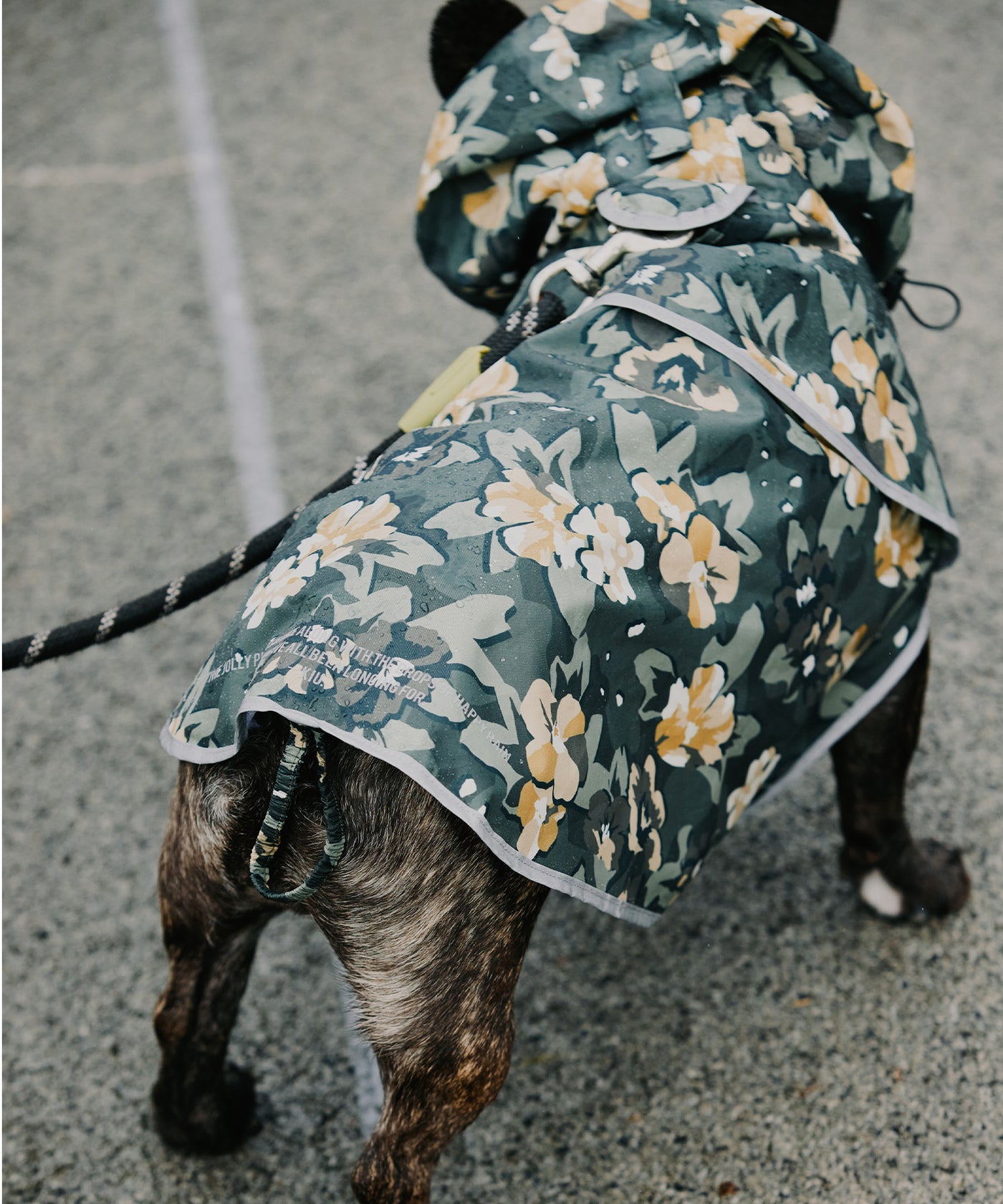 キウドッグレインポンチョ K505 – KiU公式オンラインショップ