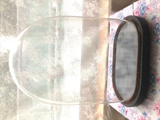 フランスアンティーク 大きめガラスドーム オーバル