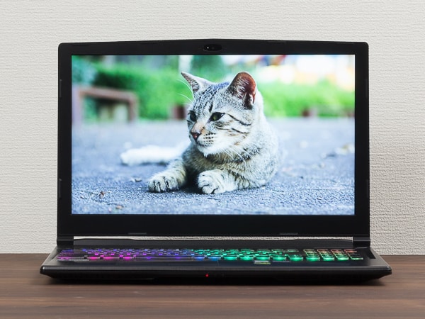 ドスパラ GALLERIA GCR1660TGF レビュー：GTX1660Ti搭載＆120Hzの良