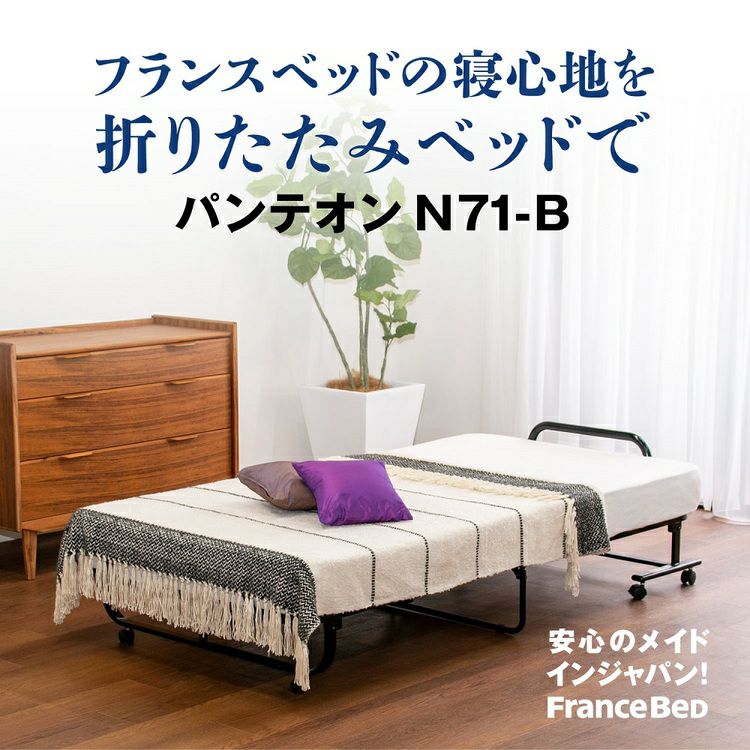 フランスベッド 折りたたみベッド シングル パンテオンN-71B | 正規品