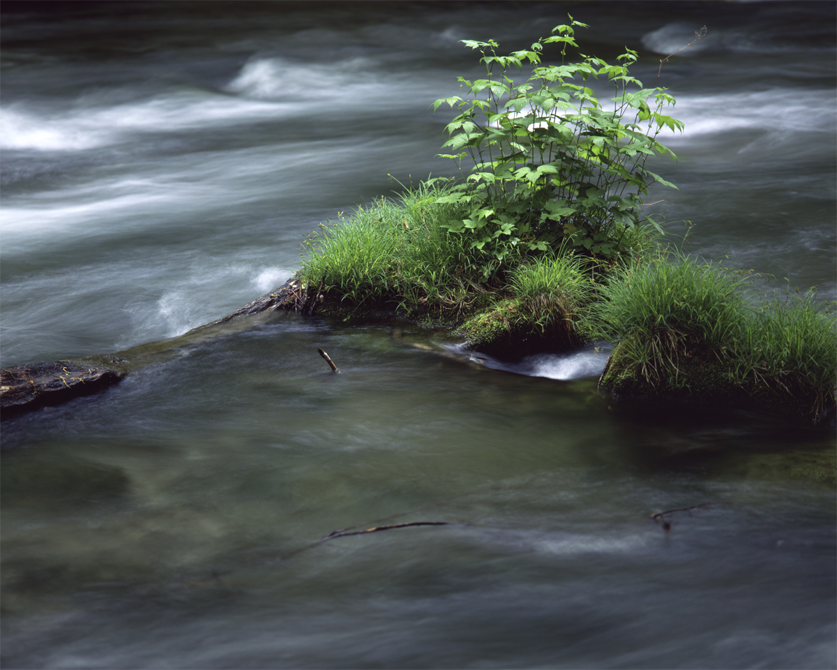 2024年7月 – こぼうしの写真とカメラの庵「まいぺーす・ふぉと」