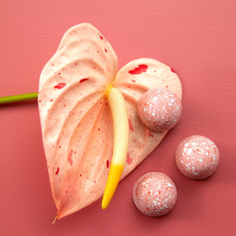 Macadamia Praline | Bon Bons – KOHO