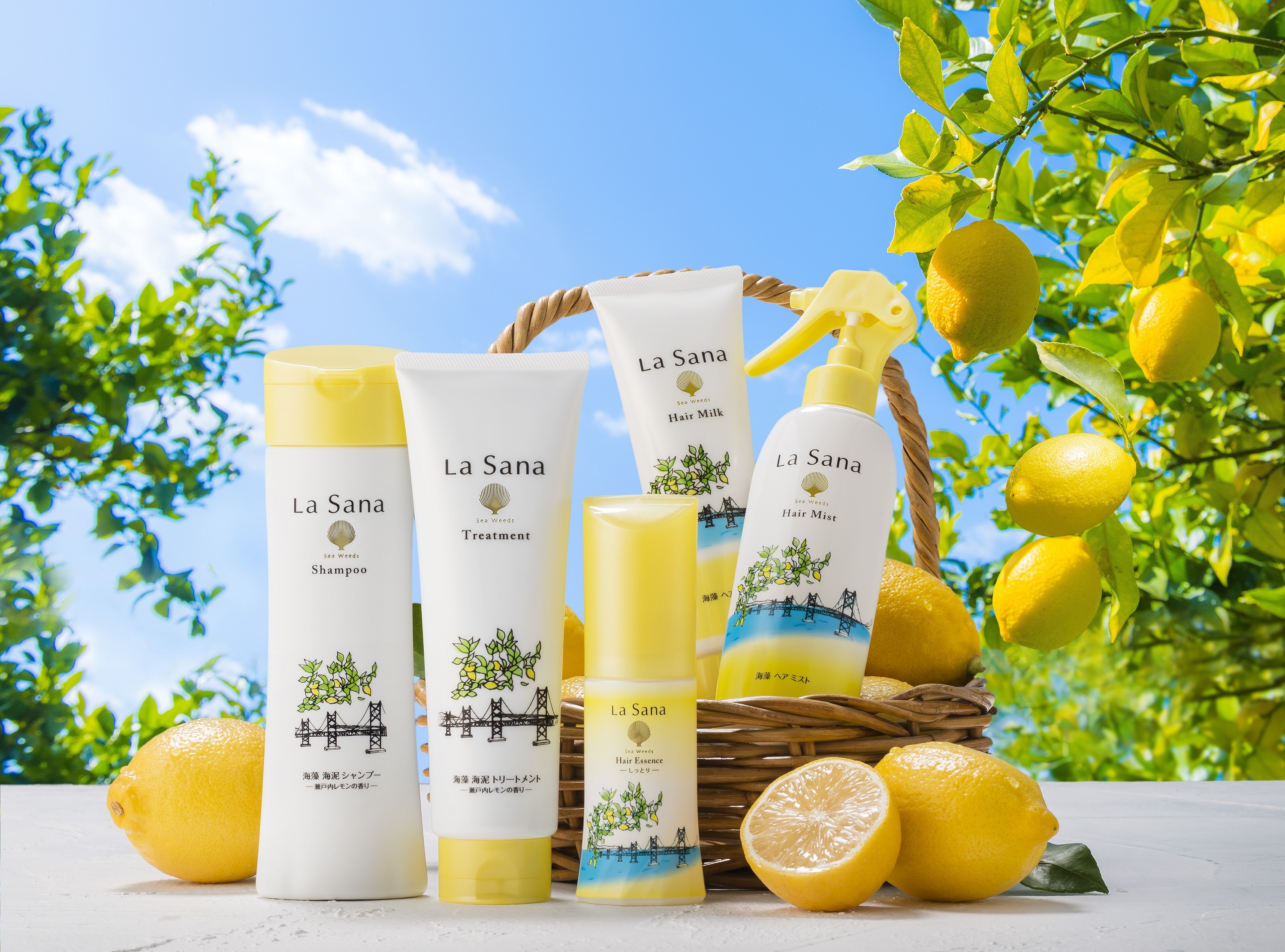 ヤマサキ、ラサーナの瀬戸内レモンシリーズアイテムを再販 | 国際商業
