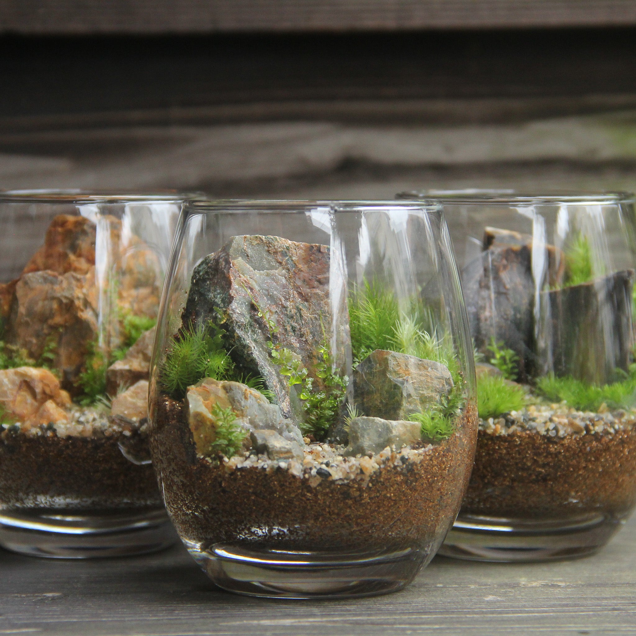 L3.jpg?v=1736229027&width=1946