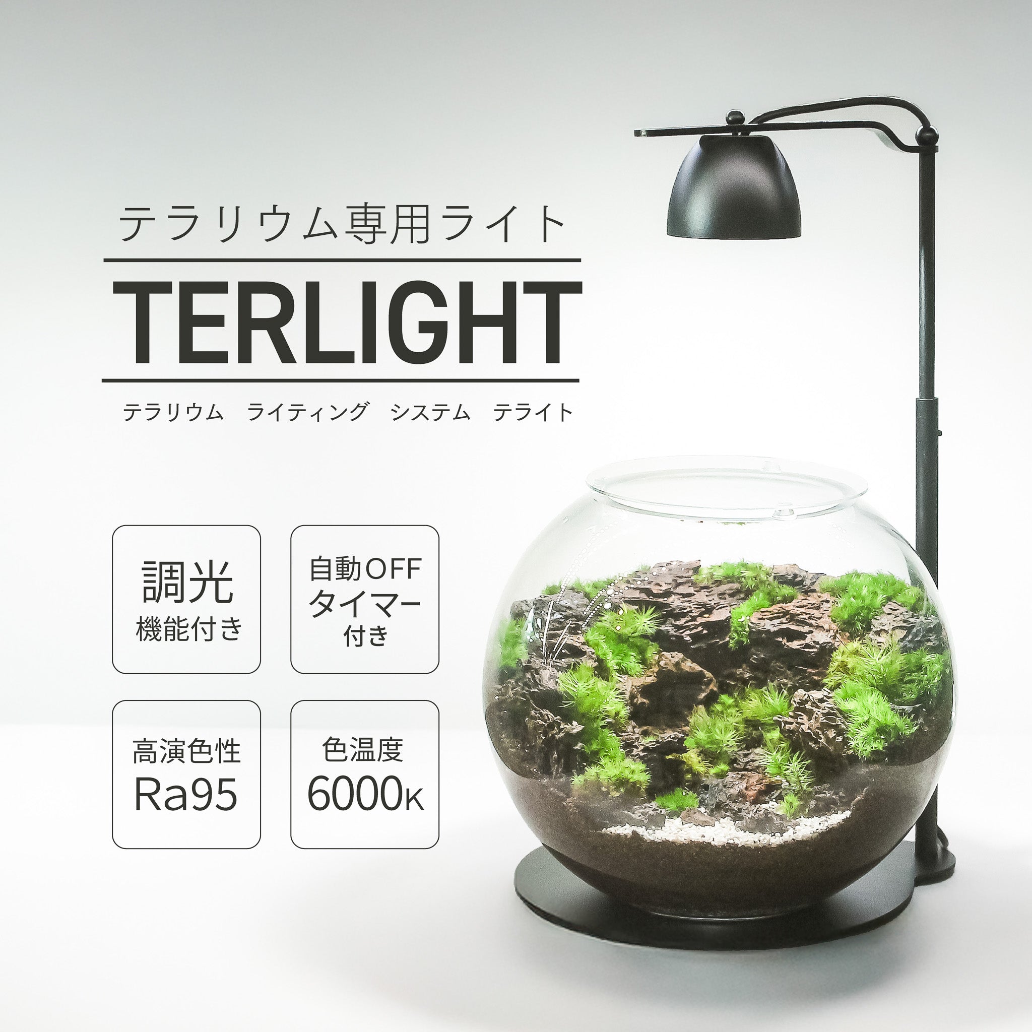 TELIGHT – 苔むすび