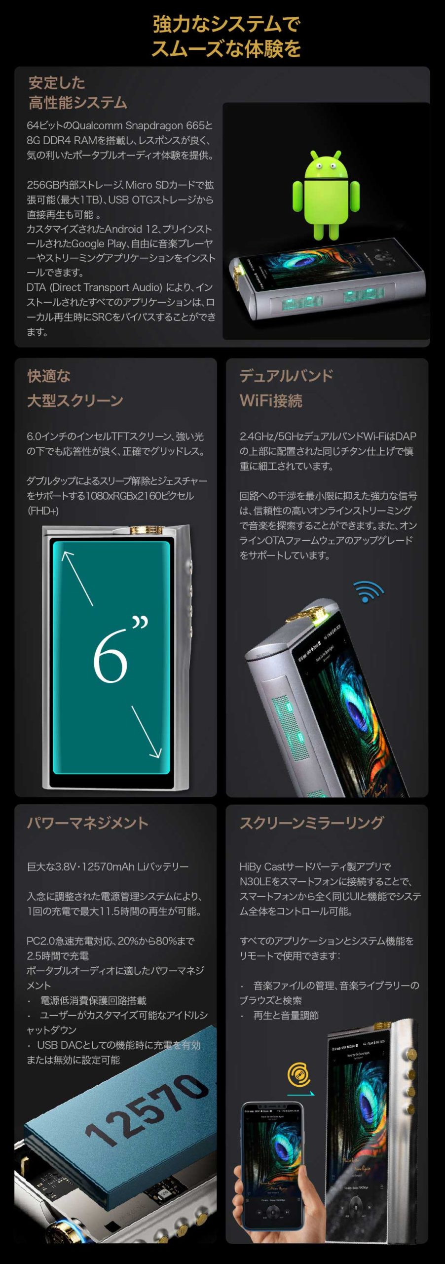 Cayin N30LE DAP | kopek｜