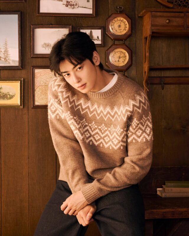 ASTRO」チャウヌ、穏やかで暖かい…低く静かに流れるある午後 | K-POP