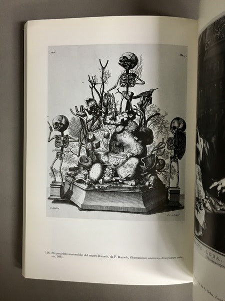 NATURALIA et MIRABILIA 著：Adalgisa Lugli 驚異の部屋のコレクション