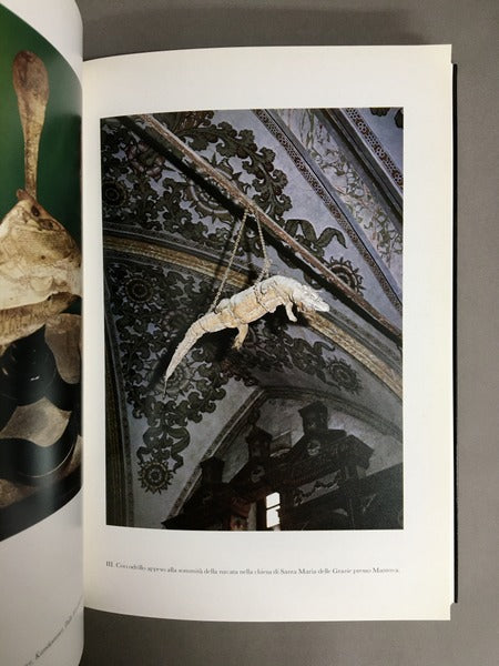 NATURALIA et MIRABILIA 著：Adalgisa Lugli 驚異の部屋のコレクション