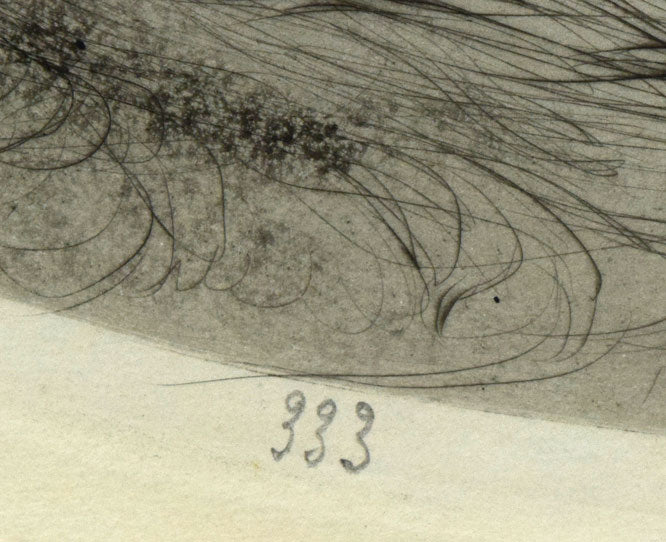 ルイ イカール(Louis Icart)「オウム」銅版画（エッチング） 絵画買取