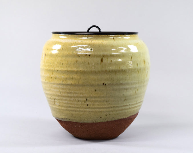 希少品】古美術 辰砂釉壺 清時代 共箱/西—1 希少品】古美術