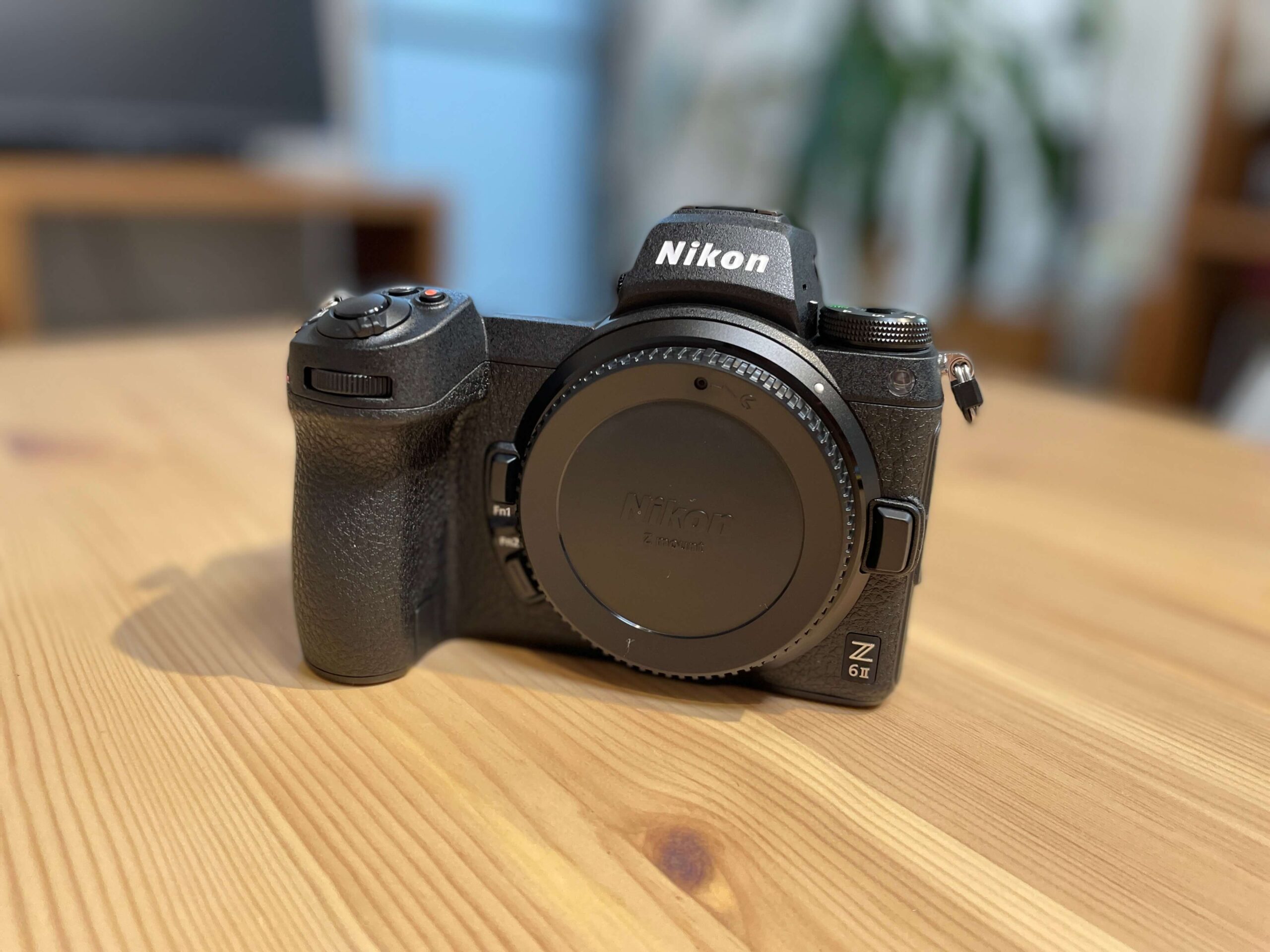 Nikon Z 6IIで初めてのミラーレス。買ってよかった＆微妙な点をまとめ