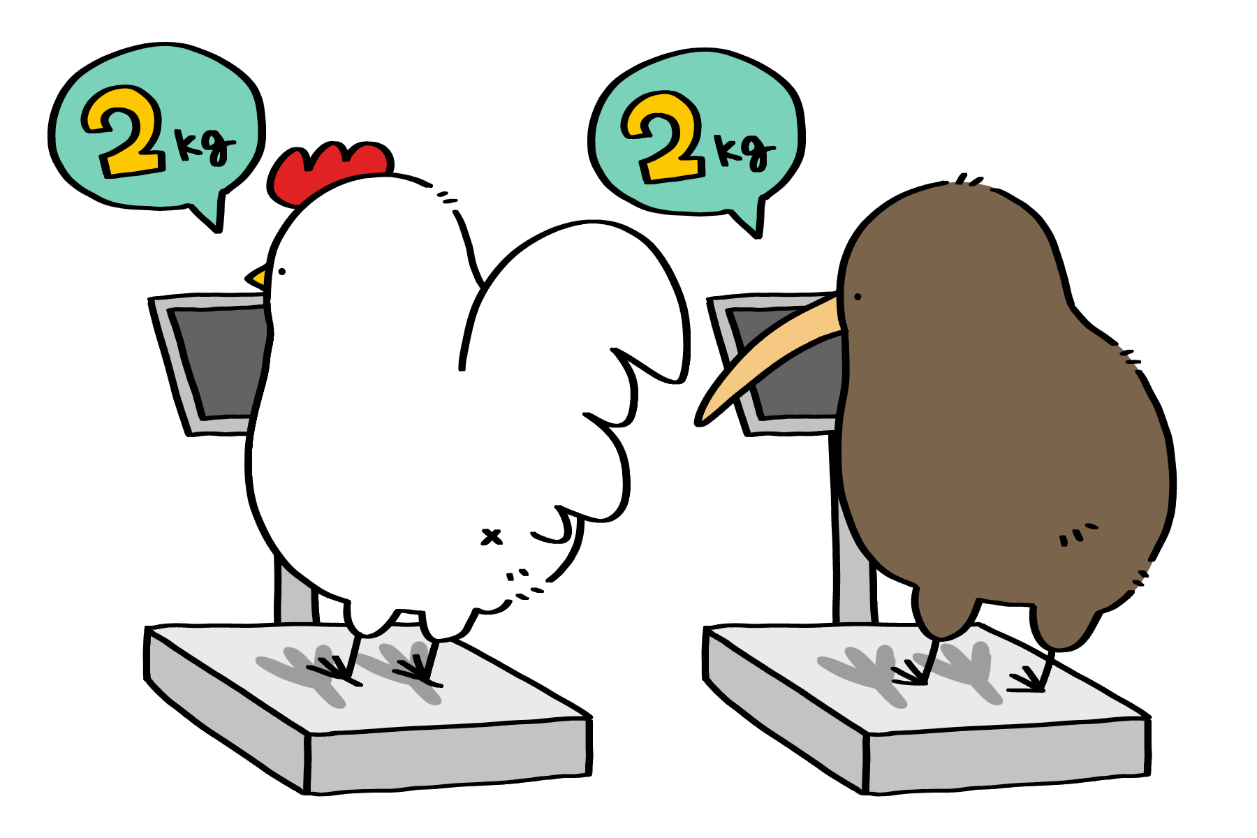 そのたまご、デカすぎ！？】キーウィが自分の体重の1/4もあるドデカい