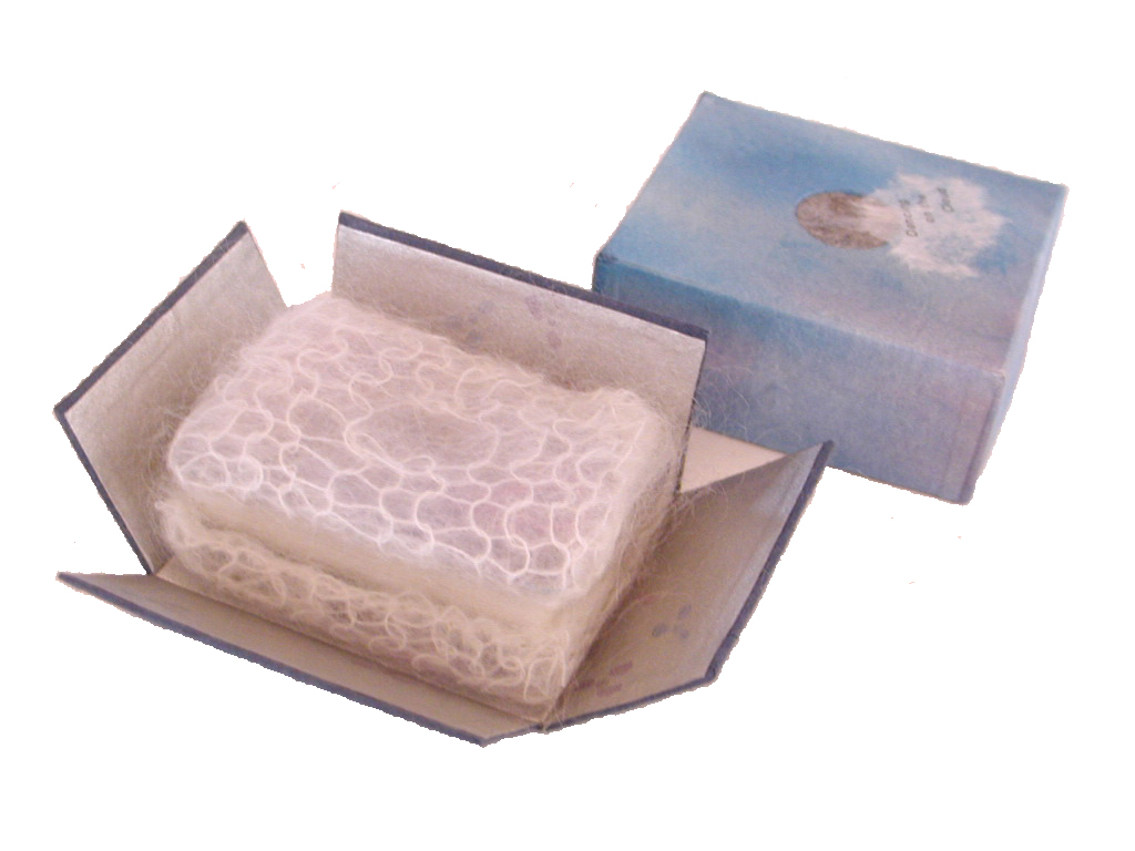 雲捕獲記録 Dancing on the Cloud」（赤井都の豆本）