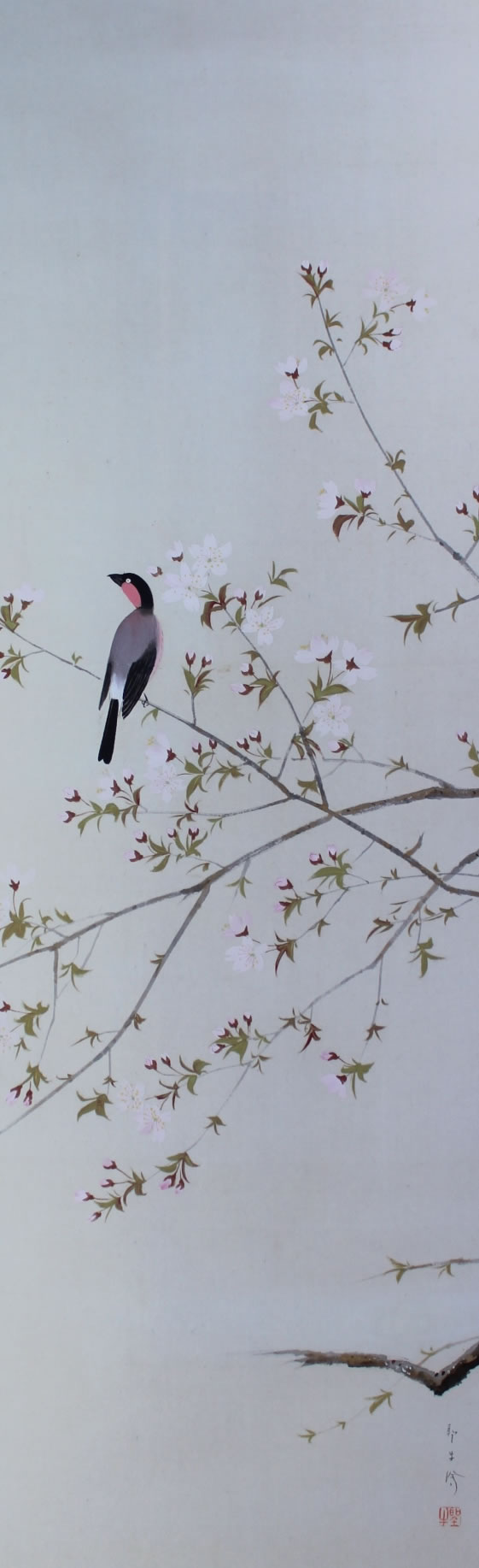 桜花小禽｜新・古美術 高美堂（こうびどう）｜掛軸販売・通販・買取