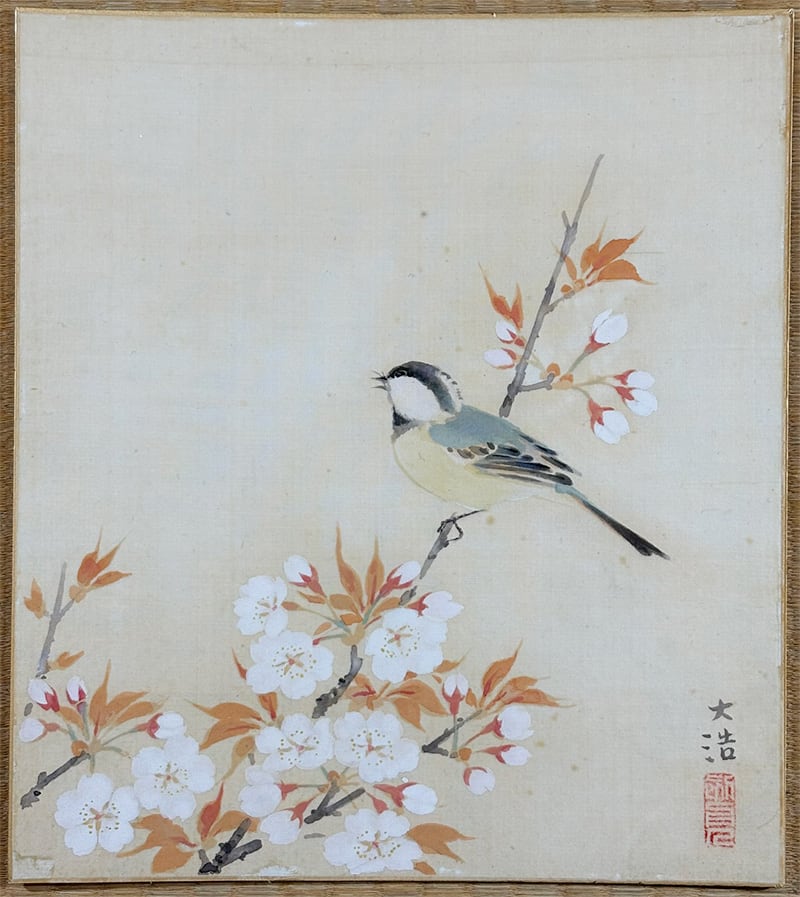 桜花小禽｜色紙｜【貼り替え済】｜新・古美術 高美堂（こうびどう