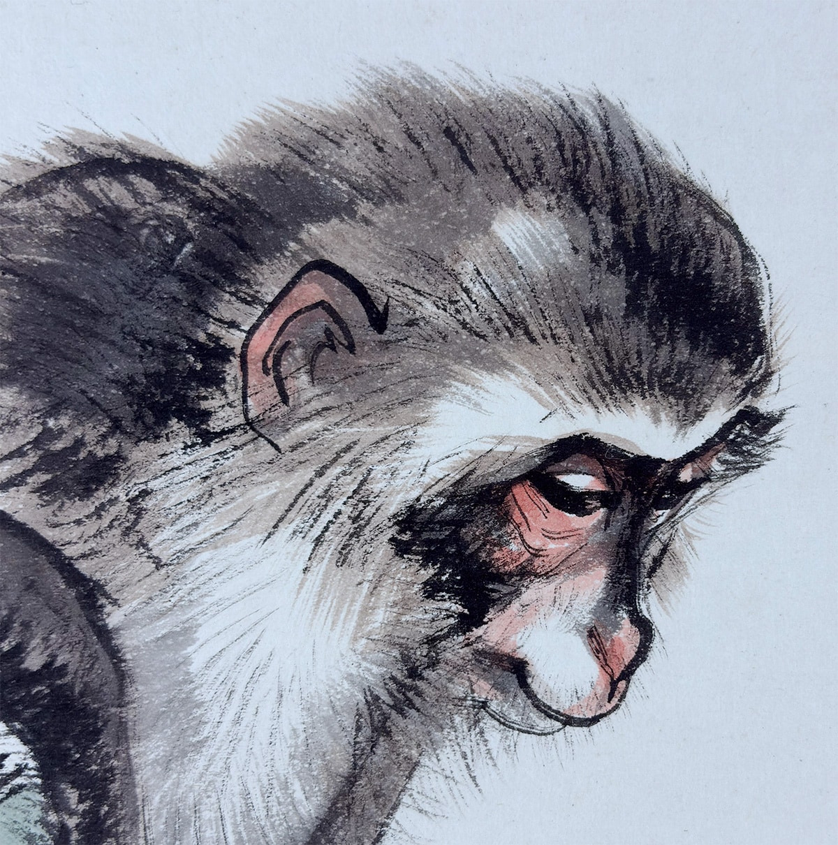 猿｜新・古美術 高美堂（こうびどう）｜掛軸販売・通販・買取｜骨董