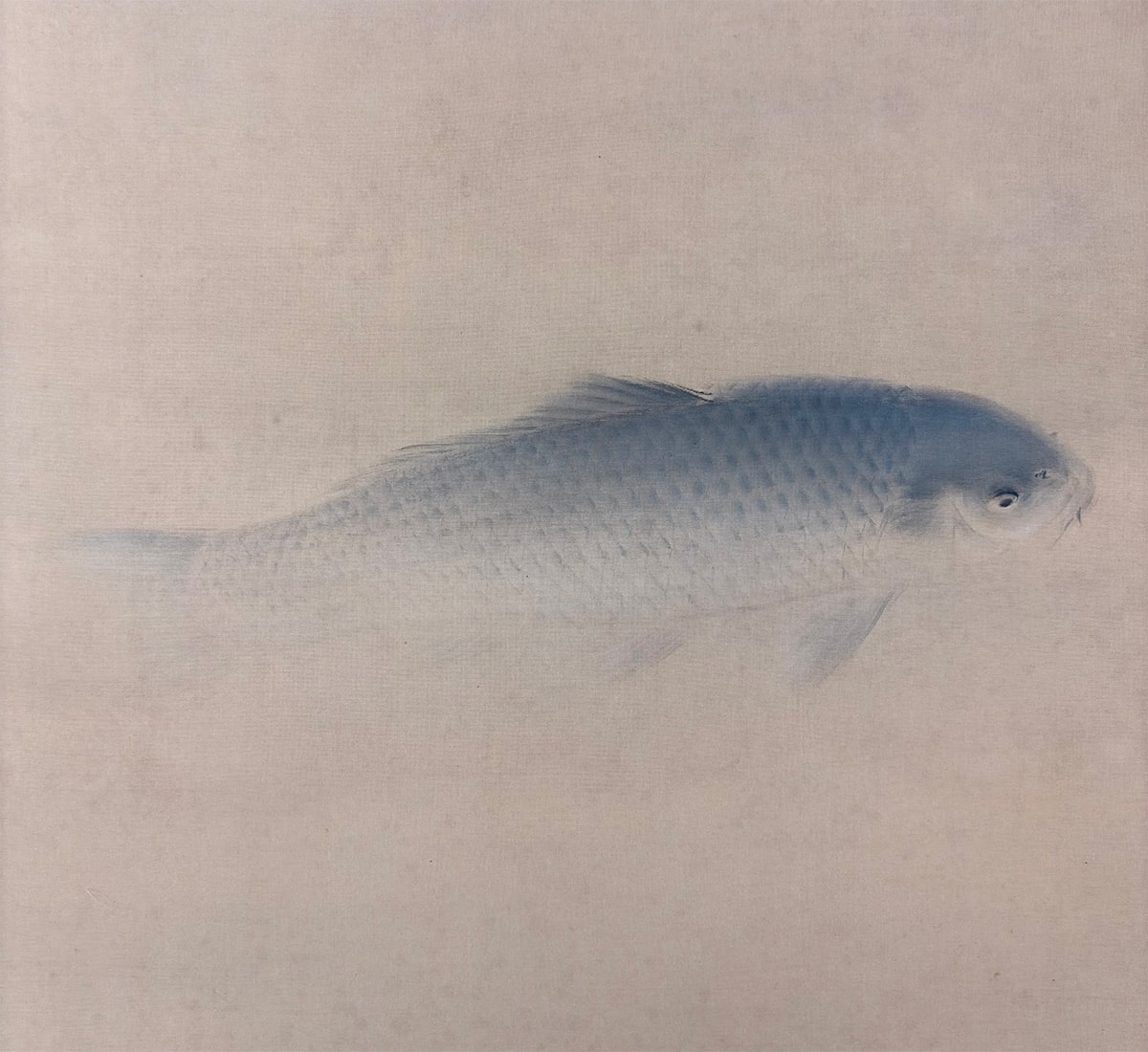 群鯉｜大幅｜新・古美術 高美堂（こうびどう）｜掛軸販売・通販・買取