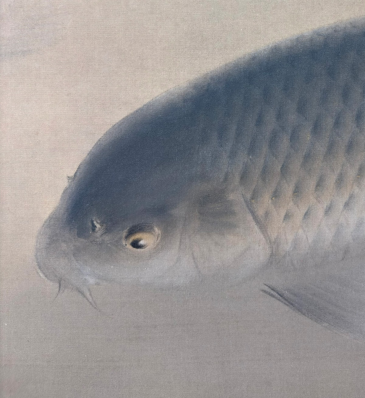 群鯉｜大幅｜新・古美術 高美堂（こうびどう）｜掛軸販売・通販・買取