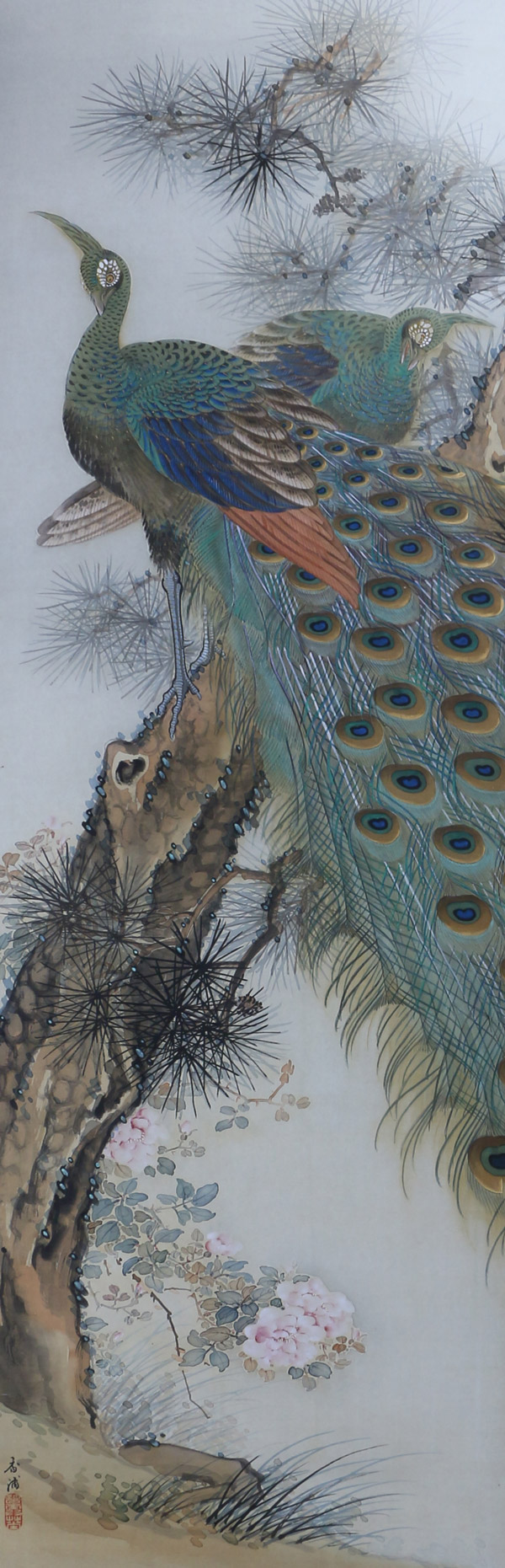 不老長春孔雀｜新・古美術 高美堂（こうびどう）｜掛軸販売・通販