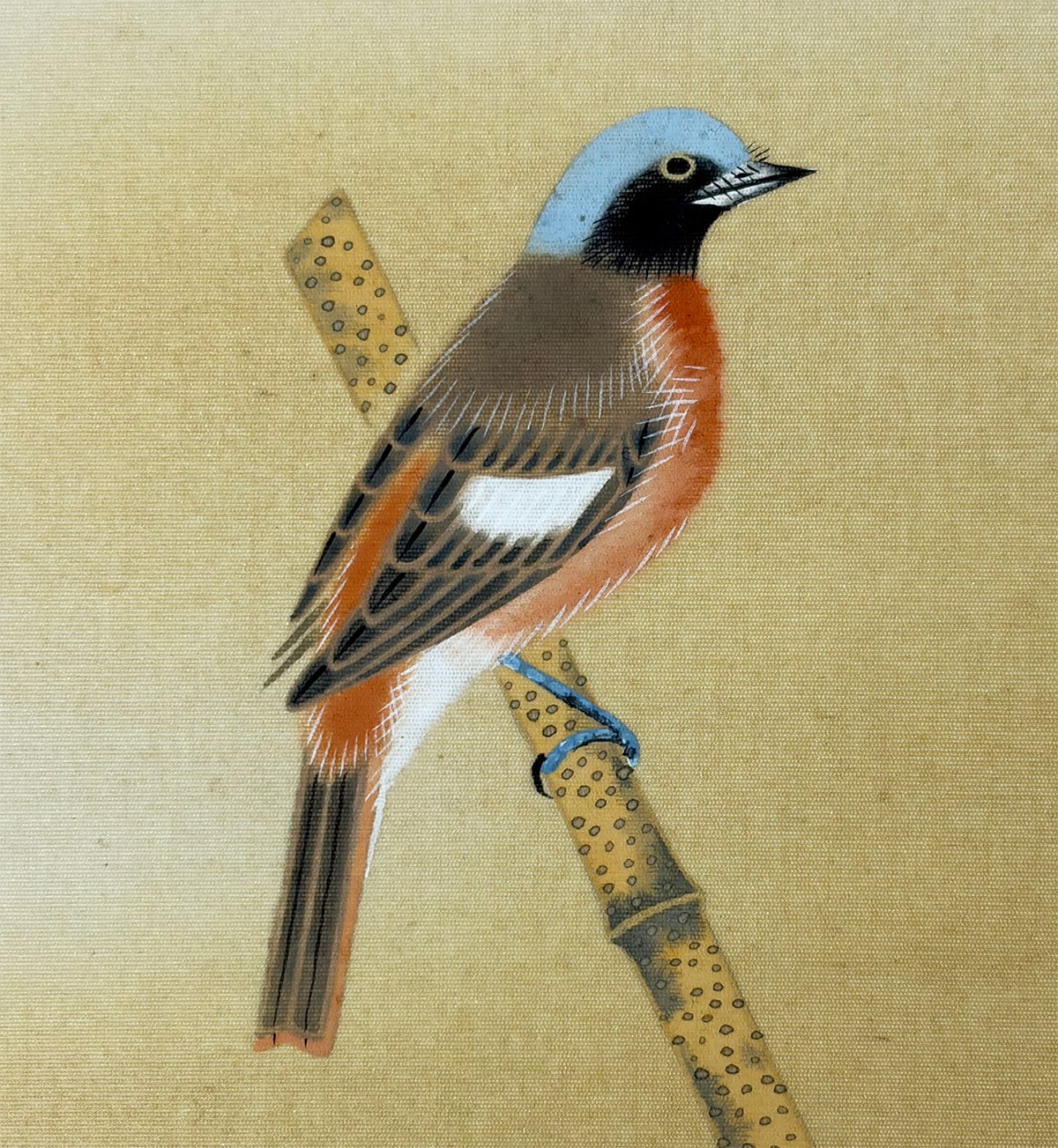 白菊小禽｜新・古美術 高美堂（こうびどう）｜掛軸販売・通販・買取