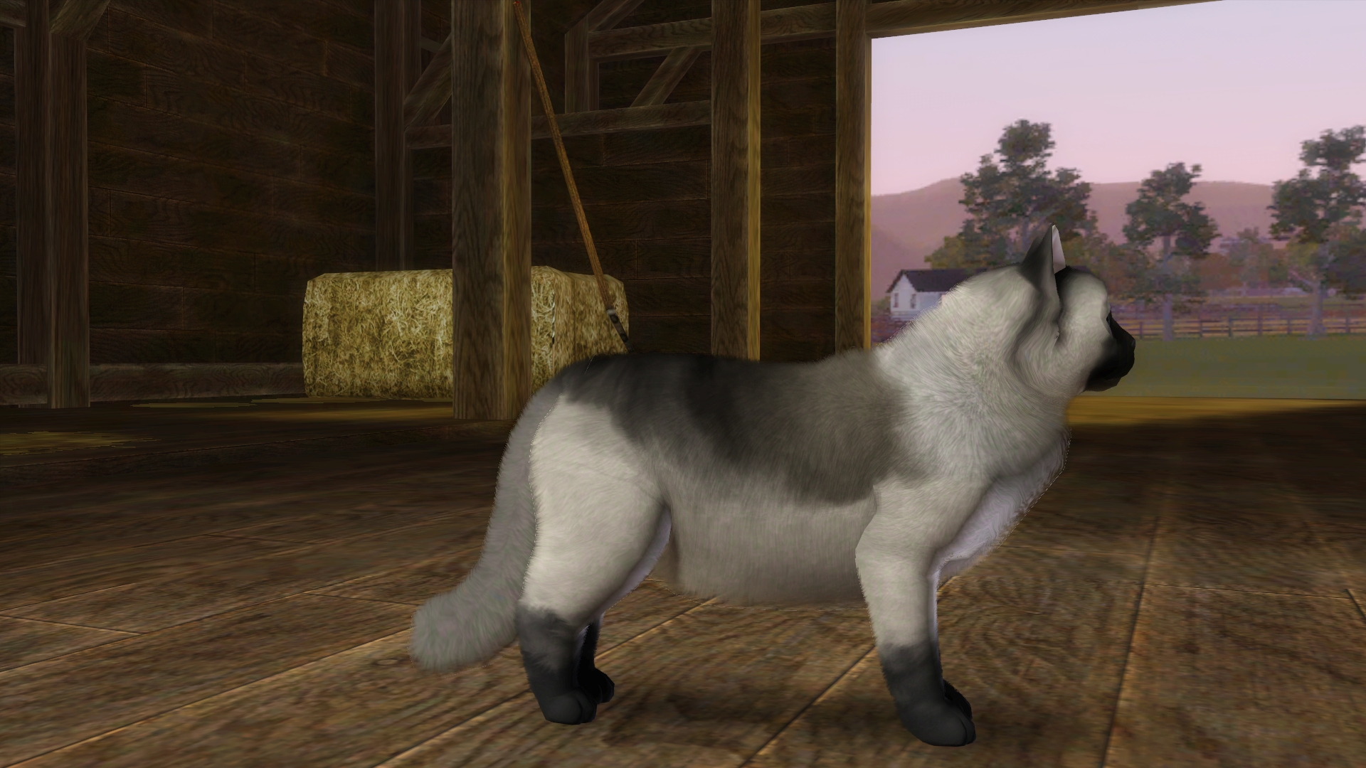 ペット(猫の種類): The Sims 3(ザ・シムズ3) 拡張・追加パック