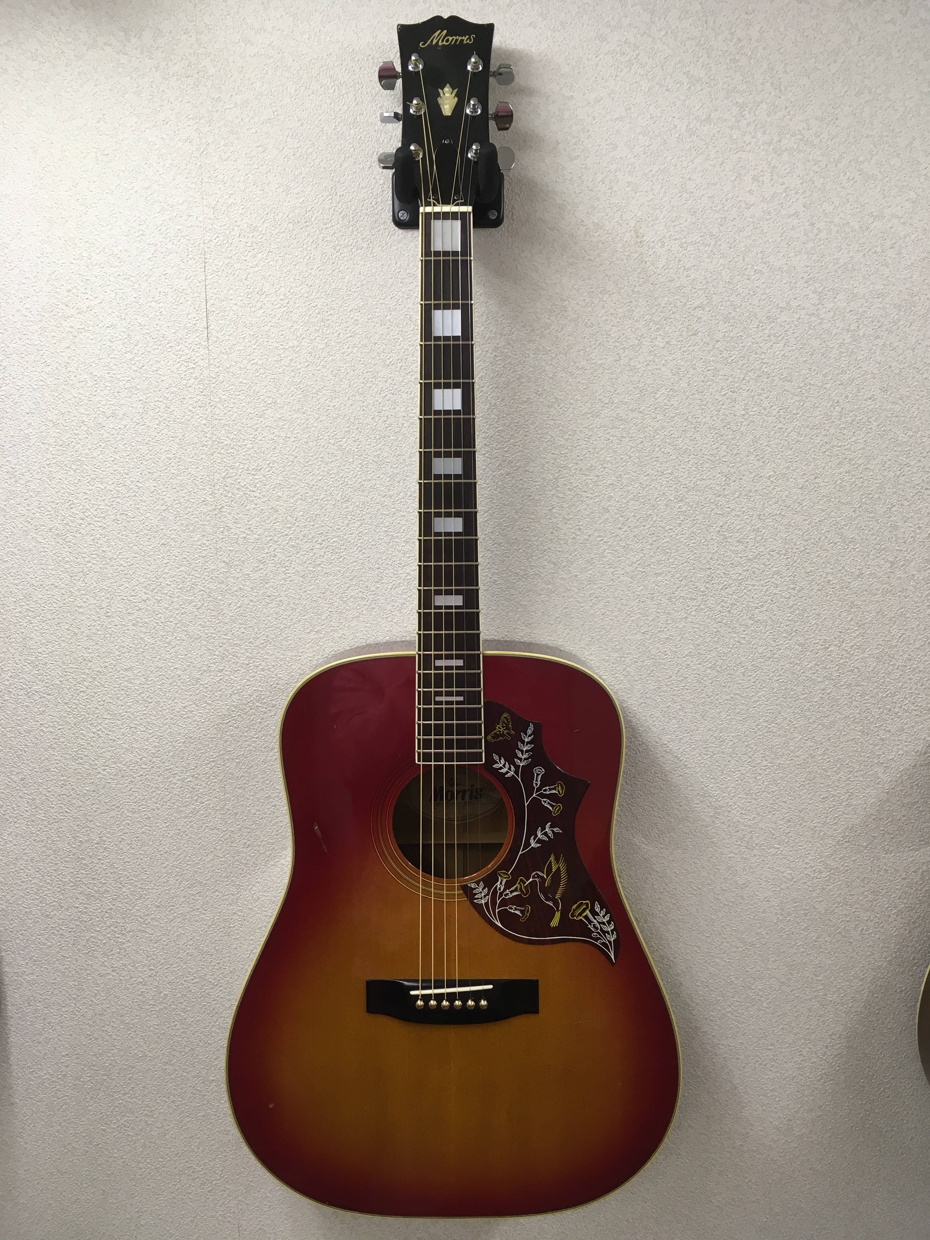 Morris モーリス WH-20 中古品 アコースティックギター Morris