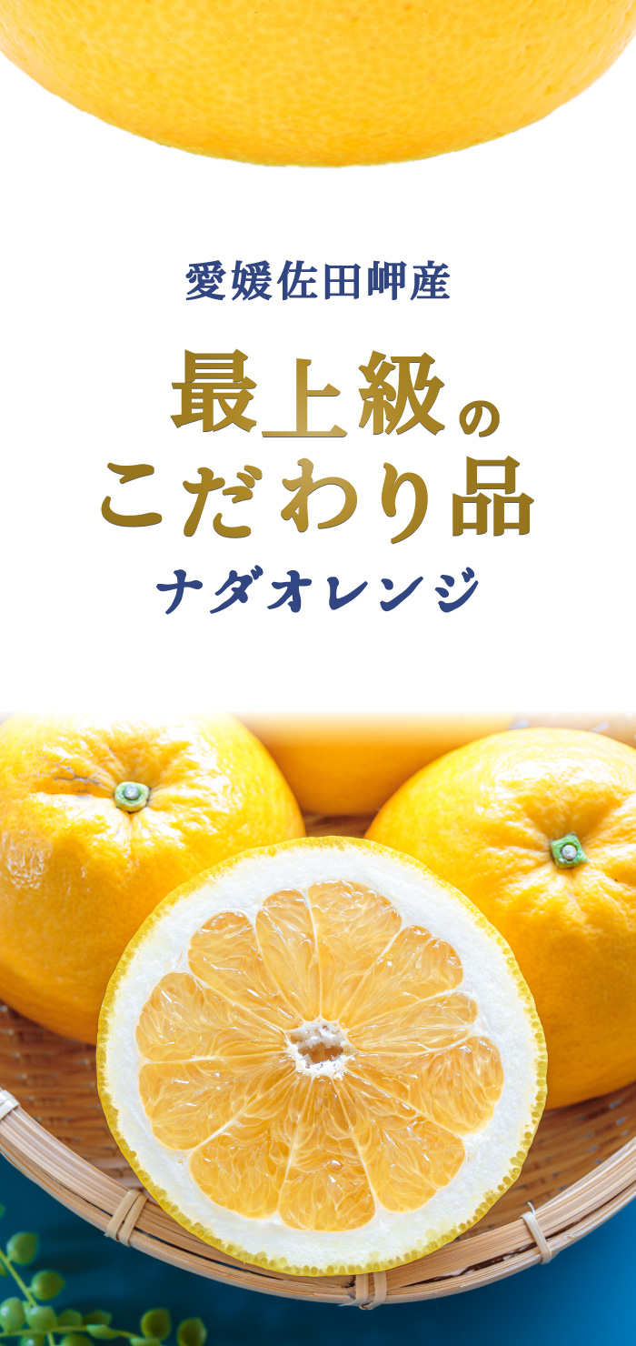 ギフトにも家庭用にも！愛媛県佐田岬産の最上級ナダオレンジ【10kg】