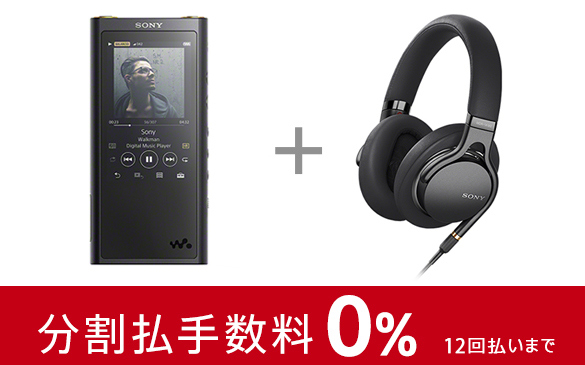 高音質化と軽量小型化を両立、バランス接続とハイレゾ音源に対応した