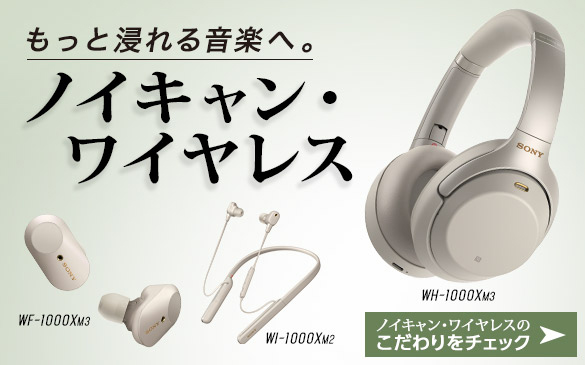 強烈なノイズキャンセリング性能と音質のクオリティを持ったネック