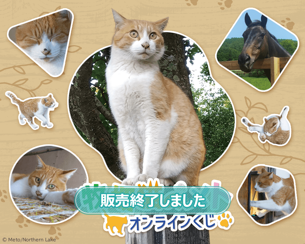 牧場猫のメト オンラインくじ | くじ引き堂