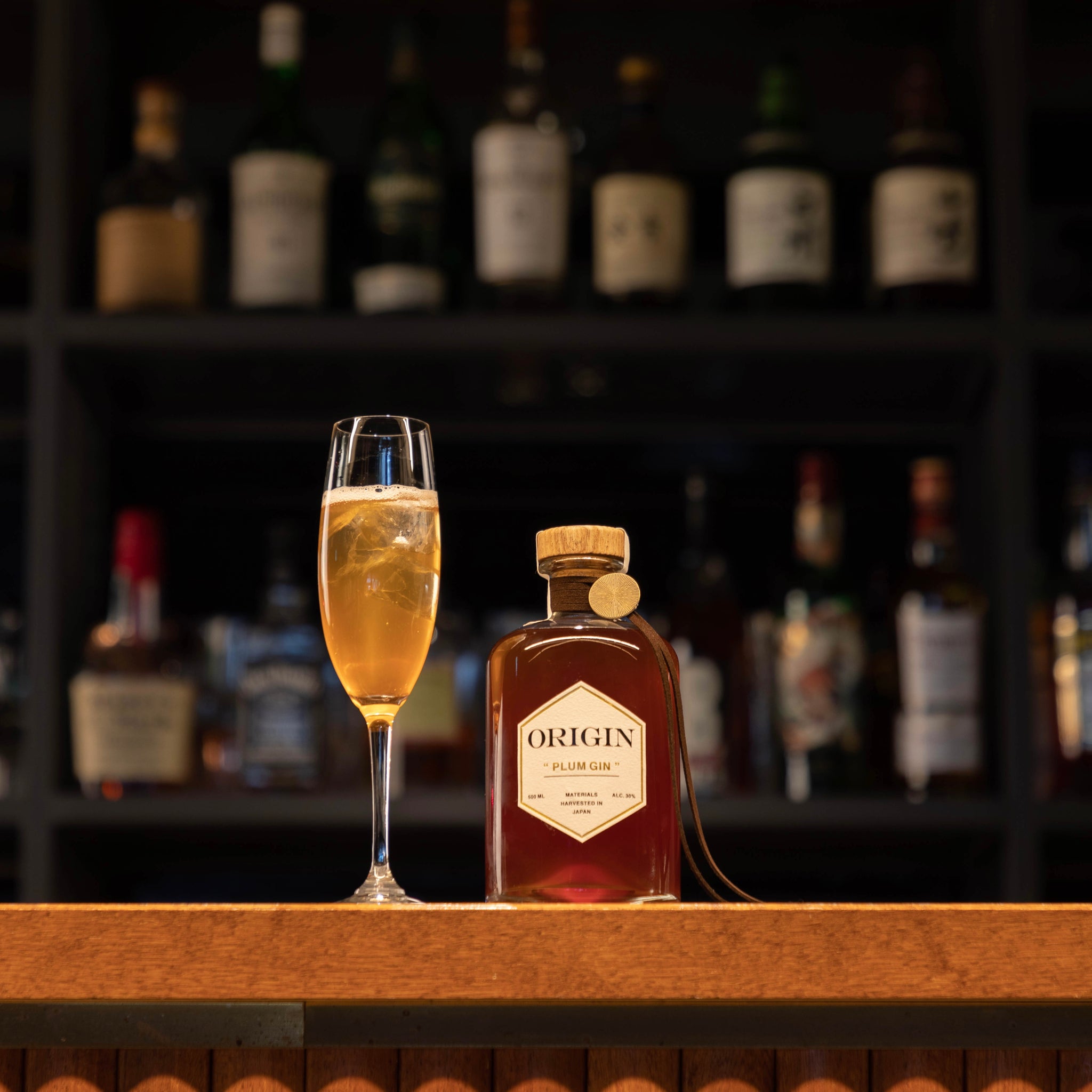 ほどよい甘酸っぱさのリキュール ORIGIN「プラムジン」【常温】 – 蔵直