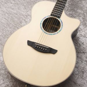 FVHG3 HiGloss | 【クロサワ楽器店オンラインショップ】いい楽器との